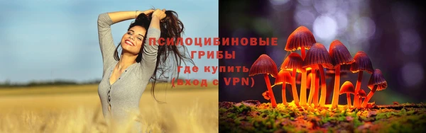бошки Алзамай
