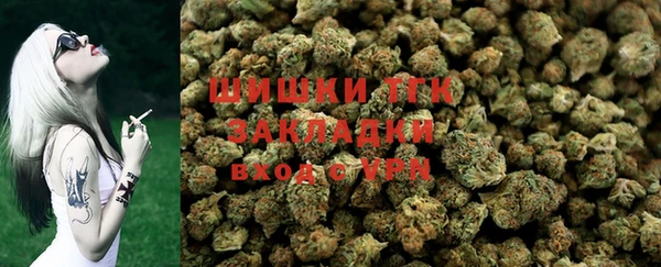 соль ск Алексин