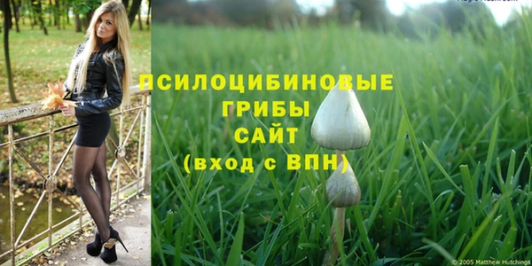 ПСИЛОЦИБИНОВЫЕ ГРИБЫ Абаза