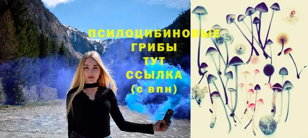 мяу мяу мука Абдулино