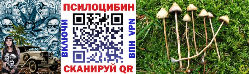 площадка наркотические препараты  Вичуга  Галлюциногенные грибы Psilocybe  купить наркотик 